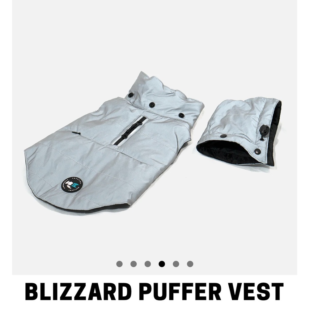 Dog windbreaker